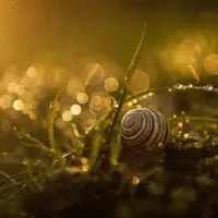 使用pm2管理你的nodejs进程