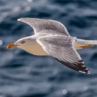 使用Dockerfile创建一个JupyterLab镜像