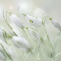 就算是一份ES567的摘要吧