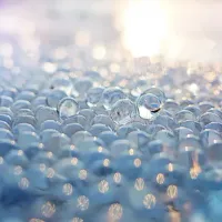 使用随机森林回归来填充数据集中的缺失值