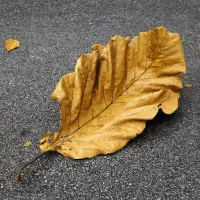 持续交付中常见的反模式